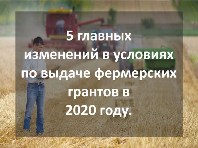 5 главных изменений в условиях по выдаче фермерских грантов в 2020 году.