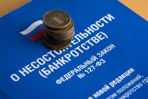 В Палате обсудили необходимые изменения в законодательстве, в том числе о несостоятельности (банкротстве) в РФ