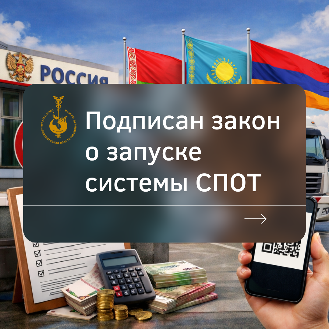 Подписан закон о запуске системы СПОТ: что важно знать предпринимателям